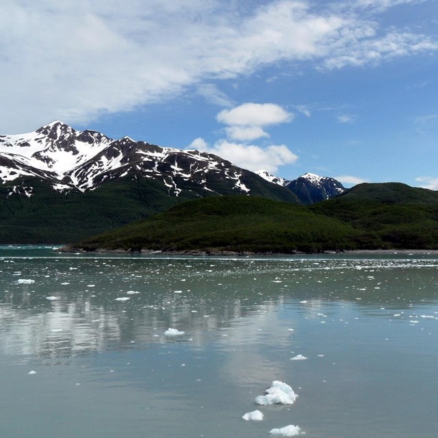 Disenchantment Bay